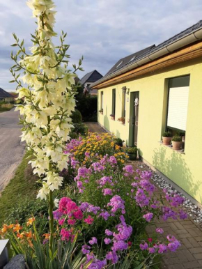 Ferienwohnung Feldberger Seen, Feldberger Seenlandschaft